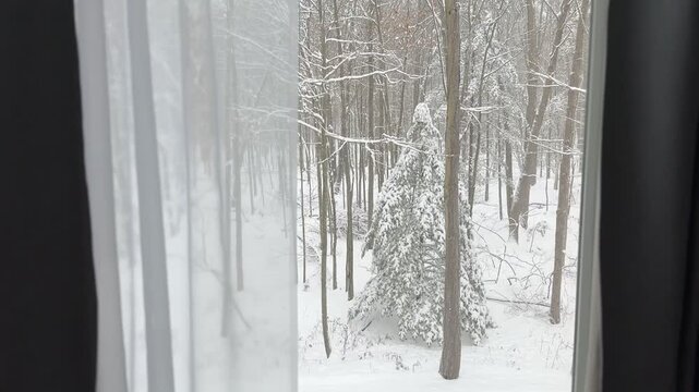 Winter forest view through a window