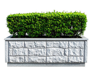 Rectangular, gray stone planter box filled with vibrant, lush, green hedge