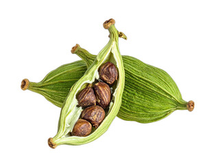Close-up studio shot of cardamom pods, one open showing seeds, on a black background
