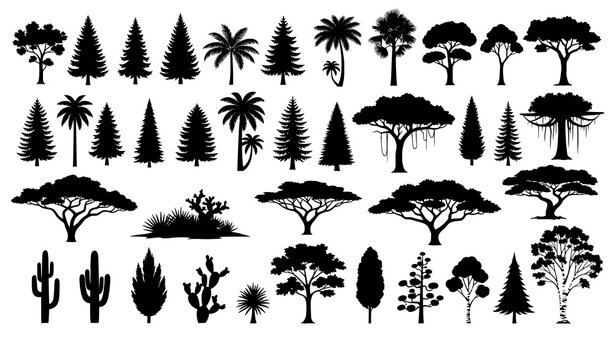 Big tree silhouette vector set with forest jungle and desert trees from different natural zones