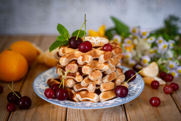 Delicious Vienna waffles with berries for breakfast. Belgian waffles for dessert. Close-up