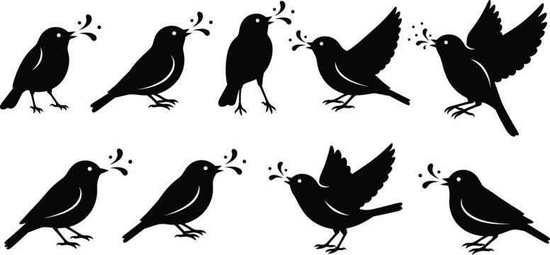 PBlack silhouette icons of birds in various poses including flying, standing, and chirping with sound marks