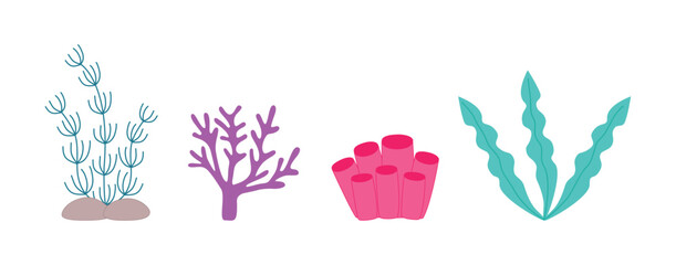 A set of hand-drawn seaweed and corals. Vector illustration on a white background.