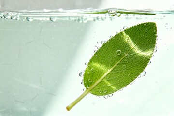 Fresh green leaf with air bubbles floating in clear water on a bright background, with subtle molecular structure overlay. Natural cosmetic ingredient and clean skincare science concept.