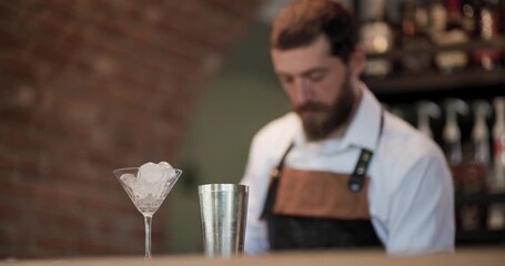 Learn how to make a cocktail with a barman in a bar using ice and a shaker for mixing various ingredients