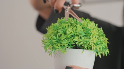 woman trimming tabletop potted plant, closeup view of careful pruning with scissors and steady hands, black nail polish, white ceramic pot, vibrant green foliage, neutral indoor backdrop, minimalist
