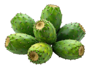A cluster of several prickly pears, vibrant green with visible red spines, against a black backdrop