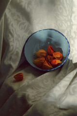 Still life with bright physalis fruits in a blue bowl on a background of white fabric.