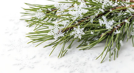 Pine branch with green needles covered in white snowflake decoration