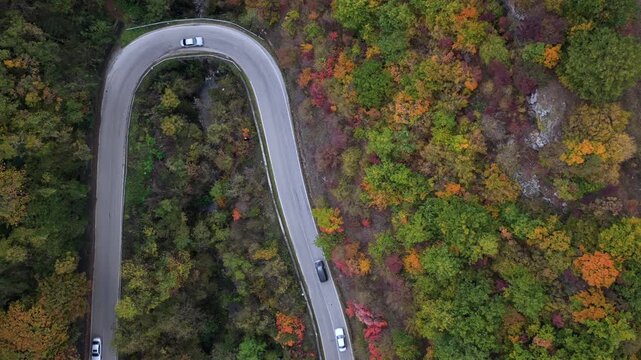 Top-down aerial video of a sharp mountain road curve surrounded by dense autumn forest near Bajram Curri.