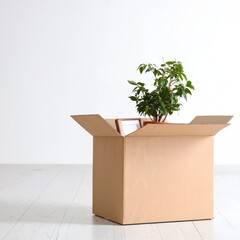 A vibrant green potted plant with lush leaves sits in a rustic wooden box, adding a touch of nature and warmth to the cozy indoor space.