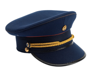 Formal headwear, blue and gold accented, angled, for a military or professional role