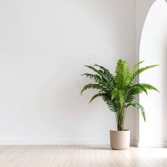 A vibrant green potted plant stands gracefully in the corner of a sunlit, empty room, casting soft shadows on the light-colored walls.