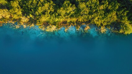 Vibrant green forest edge and deep blue waters at Bacalar Lagoon in Mexico. © Olga Gorkun