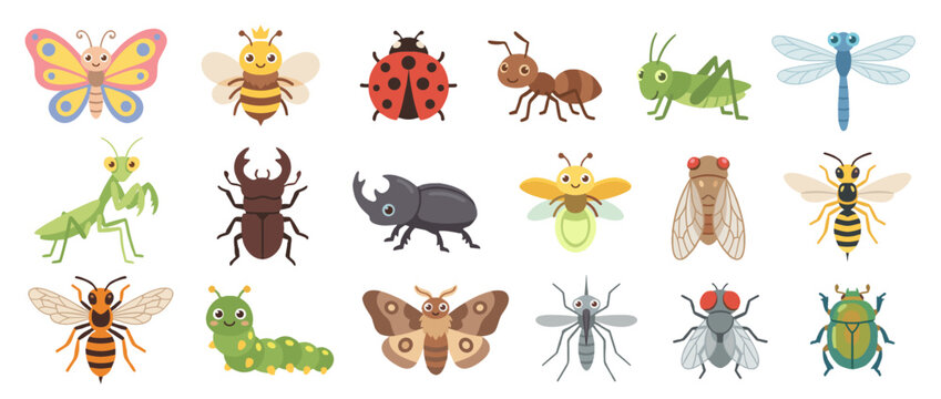 Cartoon illustration featuring a variety of insects including butterfly, bee, ladybug, ant, grasshopper, and more.