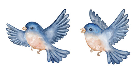 Watercolor flying birds doves set. Romantic birds illustration isolated on transparent background, symbol of love, peace and wedding ceremony, perfect for invitations, cards and celebration design.