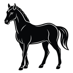 Elegant Black Horse Vector Illustration - Standing Stallion Silhouette