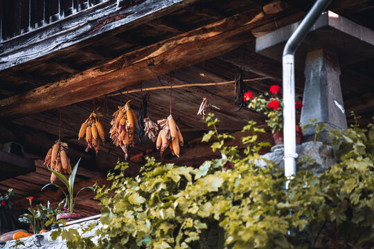 Telephoto detail of Asturias horreo underside with weathered wooden beams and balcony plants, dried corn cobs hanging to cure, rustic rural Spain heritage farmhouse storaged