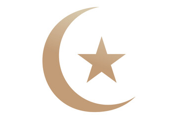 vector illustration of a golden star