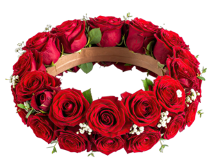 A vibrant, close-up shot showcasing a ring of red roses in full bloom with foliage and a brown base