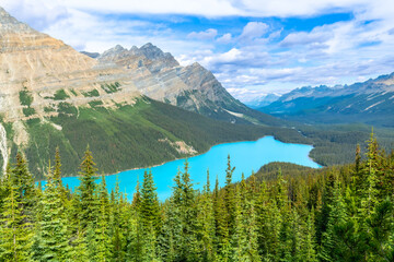 Peyto lake shining in the canadian rockies, banff national park