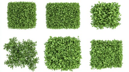 Set of hedge elements from different angles placed on a white background. Every element features a unique shape and size with a lush appearance designed for 3D rendering