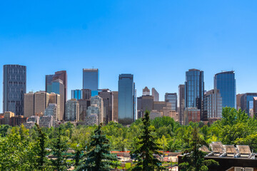 Calgary skyline rising above lush green trees on sunny day