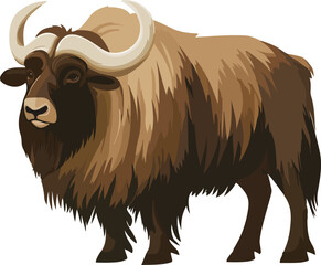 Muskox Vector on Transparent Background
