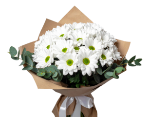 Traditional bouquet of white daisy flowers, an ideal floral gift for birthdays and celebrations. Simple, clean and beautiful arrangement.