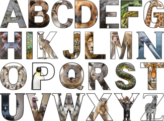Animal Alphabet Letters A to Z PNG Set Wildlife Photo Filled Typography for Kids Nursery Classroom Decor Design