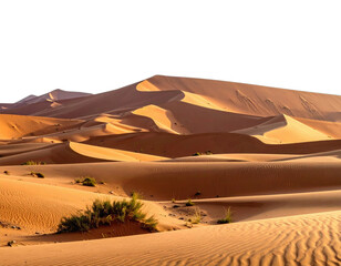 Rolling sand dunes under a clear sky; shadows and sunlight create natural desert textures