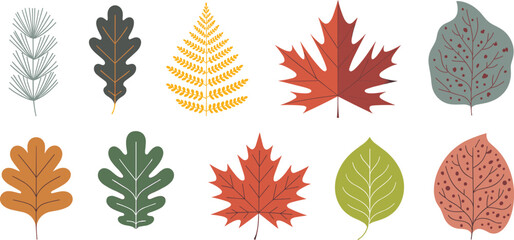 Colorful leaf vector set featuring diverse seasonal foliage including pine, maple, oak, and fern in stylized botanical illustration. © Hasem Creative