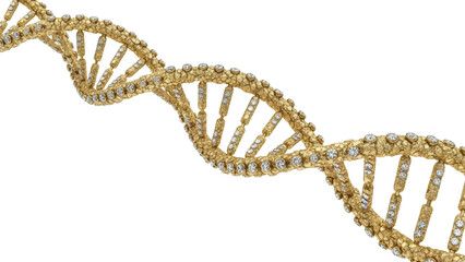 Golden DNA double helix isolated PNG, molecular biology structure with diamonds on transparent background, genetic code for science and medicine