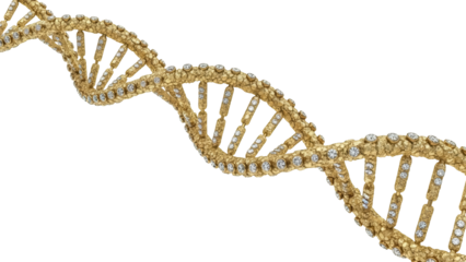 Golden DNA double helix isolated PNG, molecular biology structure with diamonds on transparent background, genetic code for science and medicine