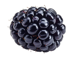A close-up shot of a single, ripe, juicy, and spherical dark berry, with a rich, glossy exterior