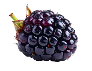 Close-up of a perfectly formed, ripe, juicy, dark purple fruit with attached green leafy stem
