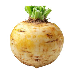 Fresh rutabaga isolated on transparent background