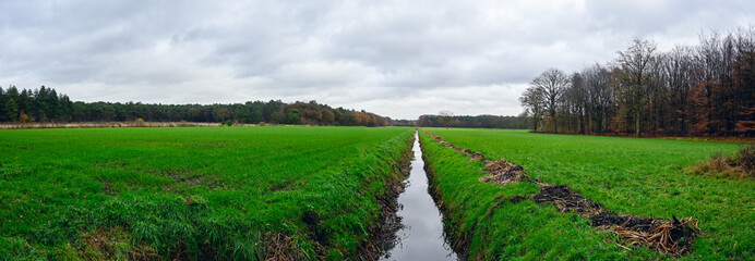 Expansive Green Fields With a Meandering Stream Under a Cloudy Sky Evoke Tranquility and Nature's Beauty in Rural Landscapes