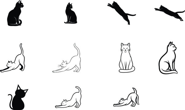 Cat silhouettes and outlines in various poses