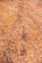 This fine art photograph captures the timeless beauty of the sandstone arches of **Arches National Park**, located just outside Moab, one of the most iconic landscapes in the American Southwest. C