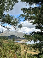 Serene landscape with trees, Peaceful view of lake and mountains