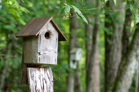 Bird House, Pisgah Forest, NC