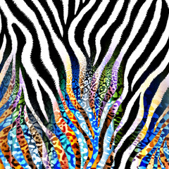Zebra texture with colorful motion blur effects leopard texture, animal print.