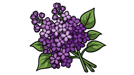 Purple Lilac Flowers with Green Leaves.