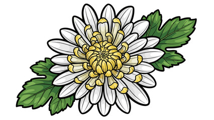 White Chrysanthemum Flower with Green Leaves.
