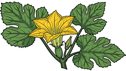 Yellow Flowering Plant with Green Leaves.