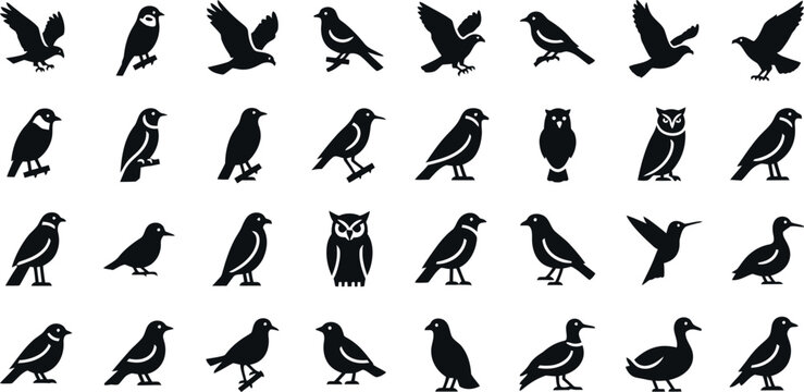Collection of various bird silhouettes in different poses and species