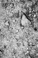 Rugged Rock Texture in Monochrome Showing Rough Geological Erosion and Natural Form