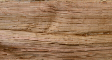 Fototapeta premium Natural wood texture with rough cracked surface