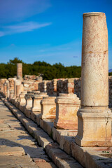 Fototapete bei efototapeten.de bestellen   